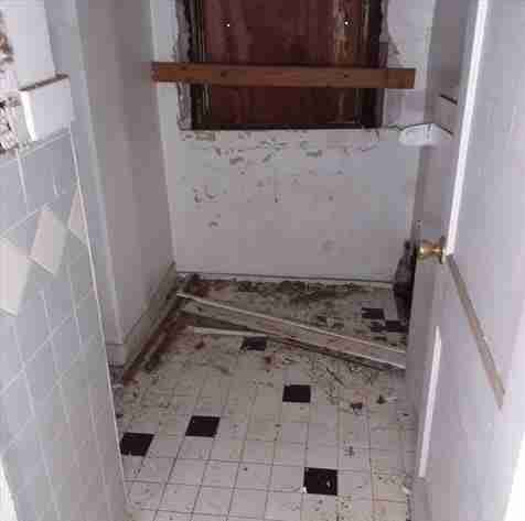 4200156_0013 (2).jpg